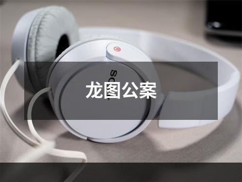 龙图公案